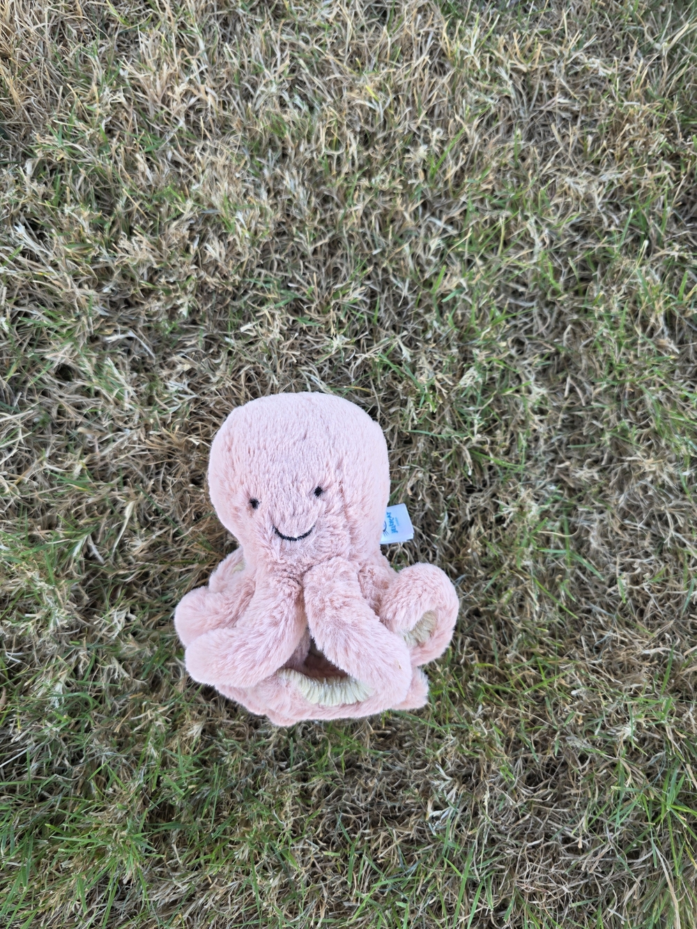 Jellycat Pink Octopus